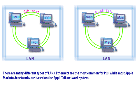 5) There are many different types of LANs. Ethernets are the most common for PCs, while most Apple Macintosh networks are based on the AppleTalk network system