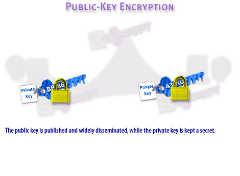 4) The public key is published and widely disseminated, while the private key is kept secret.