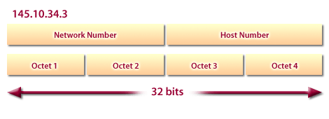 The network number is shown as four octets
