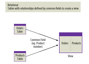 Relational Databases: Tables with relationships defined by common fields to create a view.