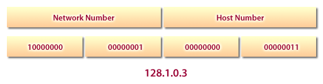 IP Address consisting of 1) Network Number and 2) Host Number