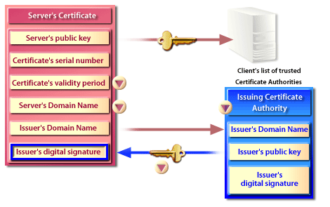 Servers public key and certificates serial number