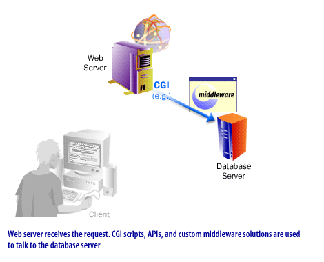 3) Web server receives the requests. CGI scripts, APIs, and custom middleware solutions are used to talk to the database server.